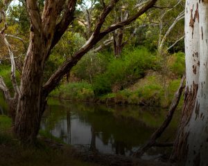 Bacchus Marsh Church